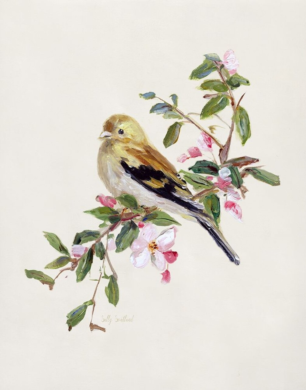 Spring Song Pine Grosbeak by Sally Swatland - Item # VARPDX43503